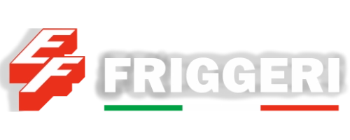 logo-friggeri